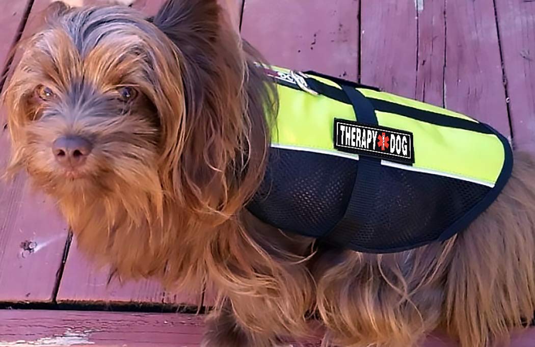 Dogline Therapy Dog Patches For Harnesses And Vests Removable 3D Rubber Patches With Hook Backing For Small Medium Or Large Work