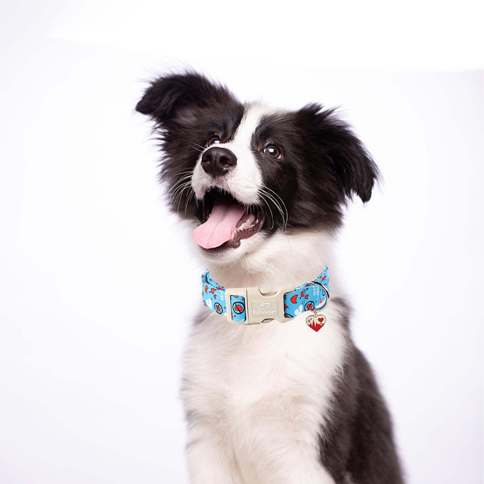 Babole Pet Valentines Dog Collar, Blue Heart Dog Collar, Cute Loving Heart Printed Collar with Quick Release Plastic Buckle for
