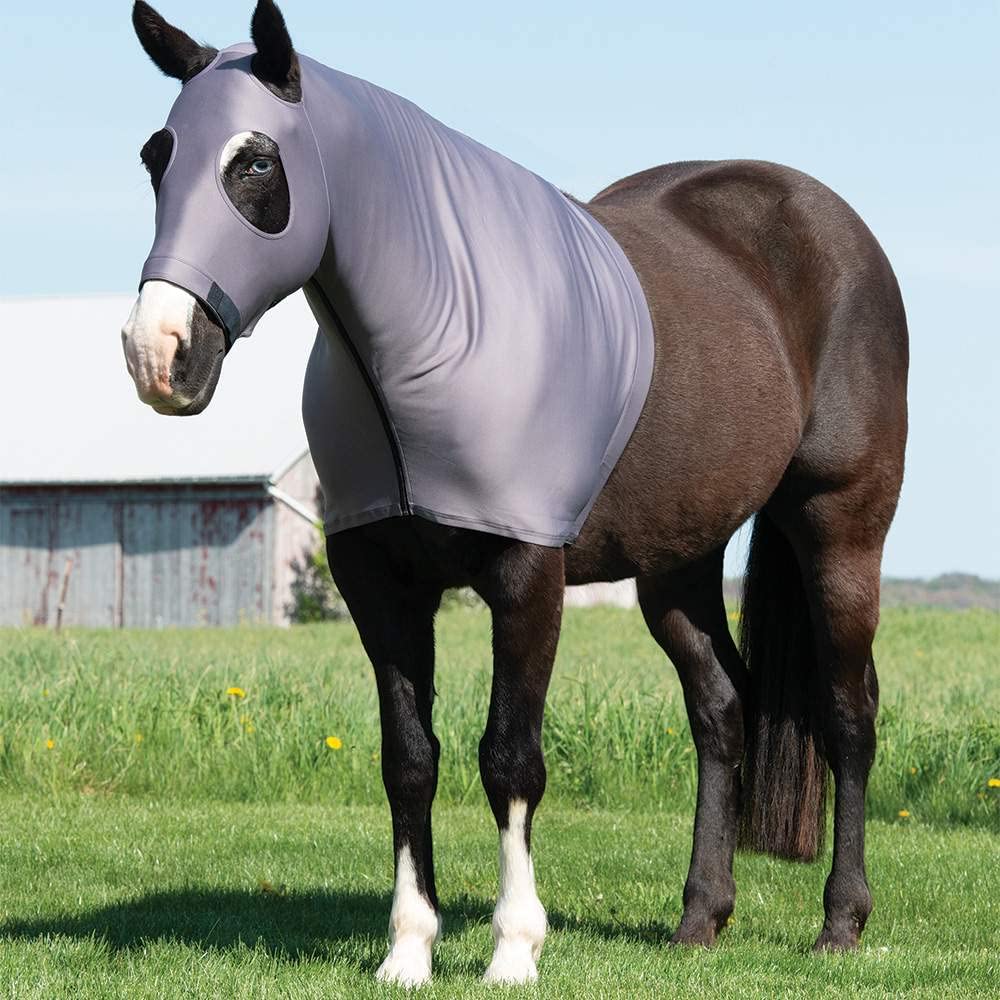 Weaver Equine Small Cooling Lycra Hood