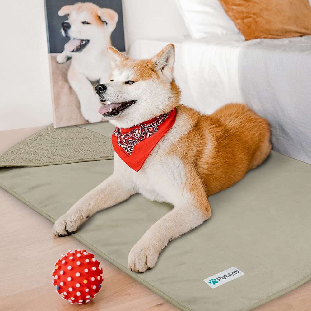 Petami Waterproof Dog Blanket For Small Medium Dogs, Pee Proof Pet Blanket Sherpa Fleece Couch Cover, Reversible Cat Throw Bed Sofa Protector, Soft Plush Washable Pad (Small 24X32, Taupe)