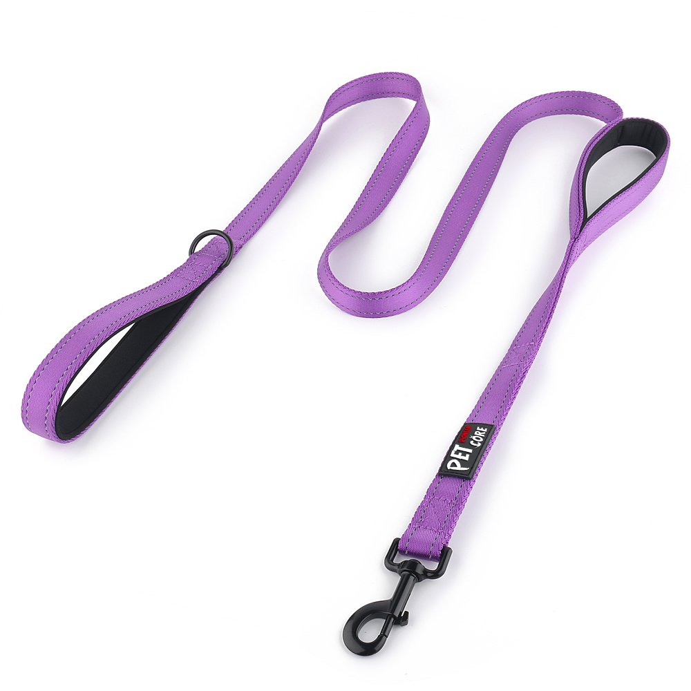 Plutus Pet Dog Leash 6ft Long, Traffic Padded Two Handle, Heavy Duty, Reflective Double Handles Lead for Control Safety Training