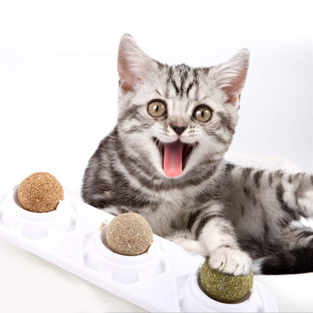 WoLover Catnip Wall Ball Toys - Rotatable Cat Snack Edible Balls with Natural Healthy Catnip | Silvervine | Gall Nut, Kitten Pla