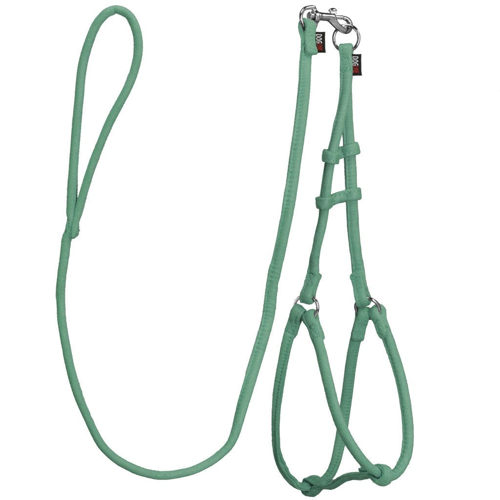 Dogline Soft And Padded Comfort Microfiber Leash For Dogs M (W1/3 X L36 X G18-26''), Teal
