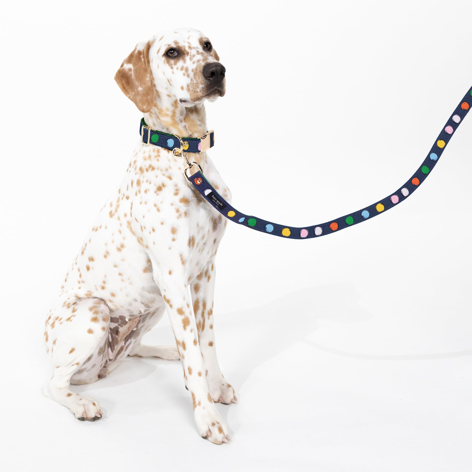Kate Spade New York 6Ft Dog Leash, Heavy Duty Leash For Female Or Male Dogs, Cute Pet Leash With Gold Metal Hardware, Long Dog L