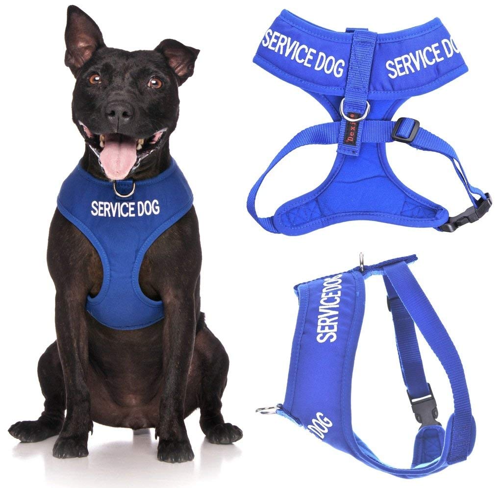 SERVICE DOG (Do Not Disturb/Dog Is Working) Blue Colour Coded Non-Pull Front and Back D Ring Padded and Waterproof Vest Dog Harn