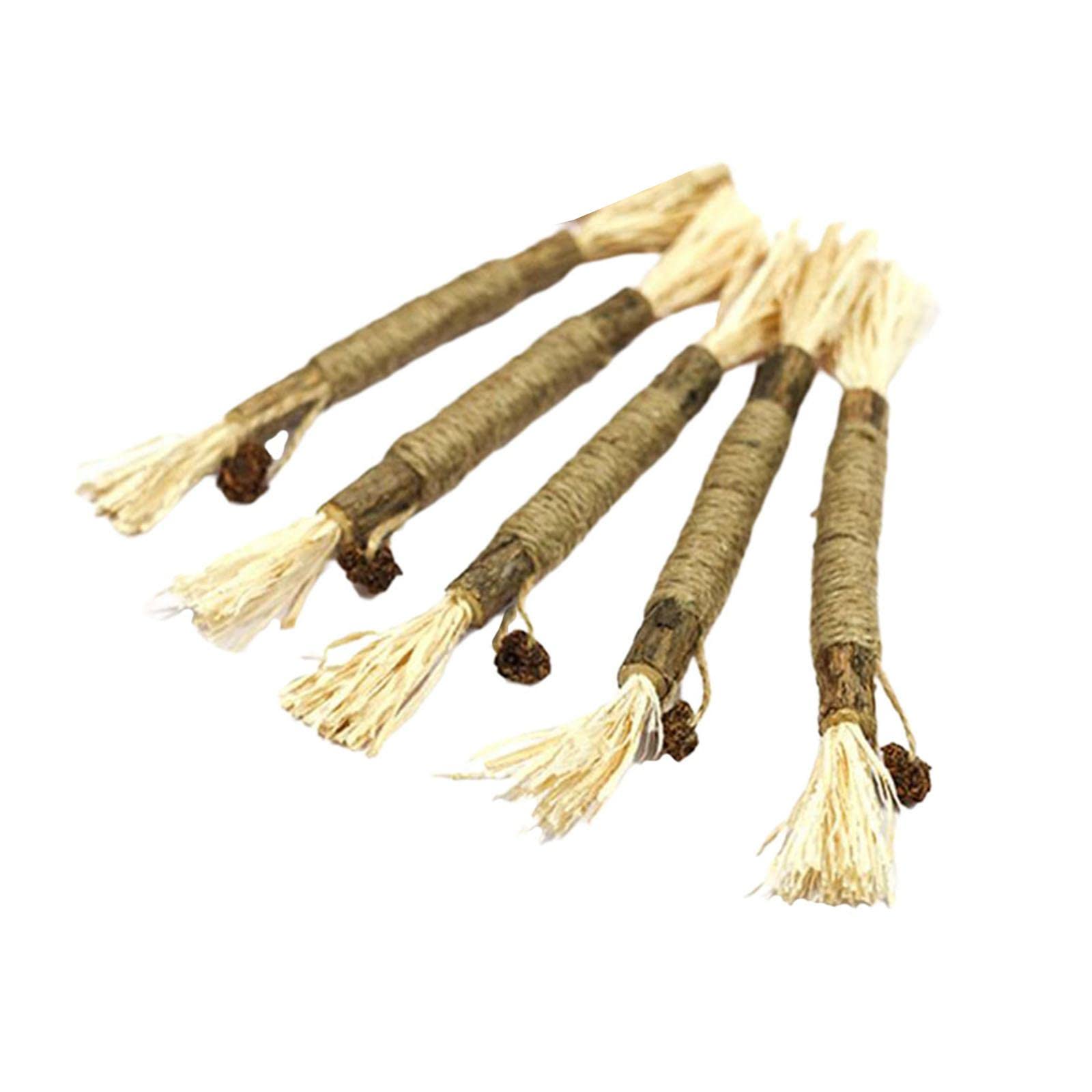 Enakshi 5Pcs Cat Chew Sticks Catnip Chew Toy Dental Molar Teeth Cleaning Fruit Ball | Pet Supplies | Cat Supplies | Toys