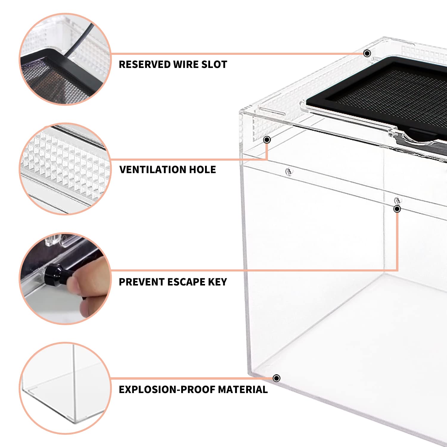 Reptile Growth Mini Reptile Terrarium,8'' X 8''X 8'' Reptile Tank With Full View Visually Appealing,For Insect,Fish,Tarantula,He