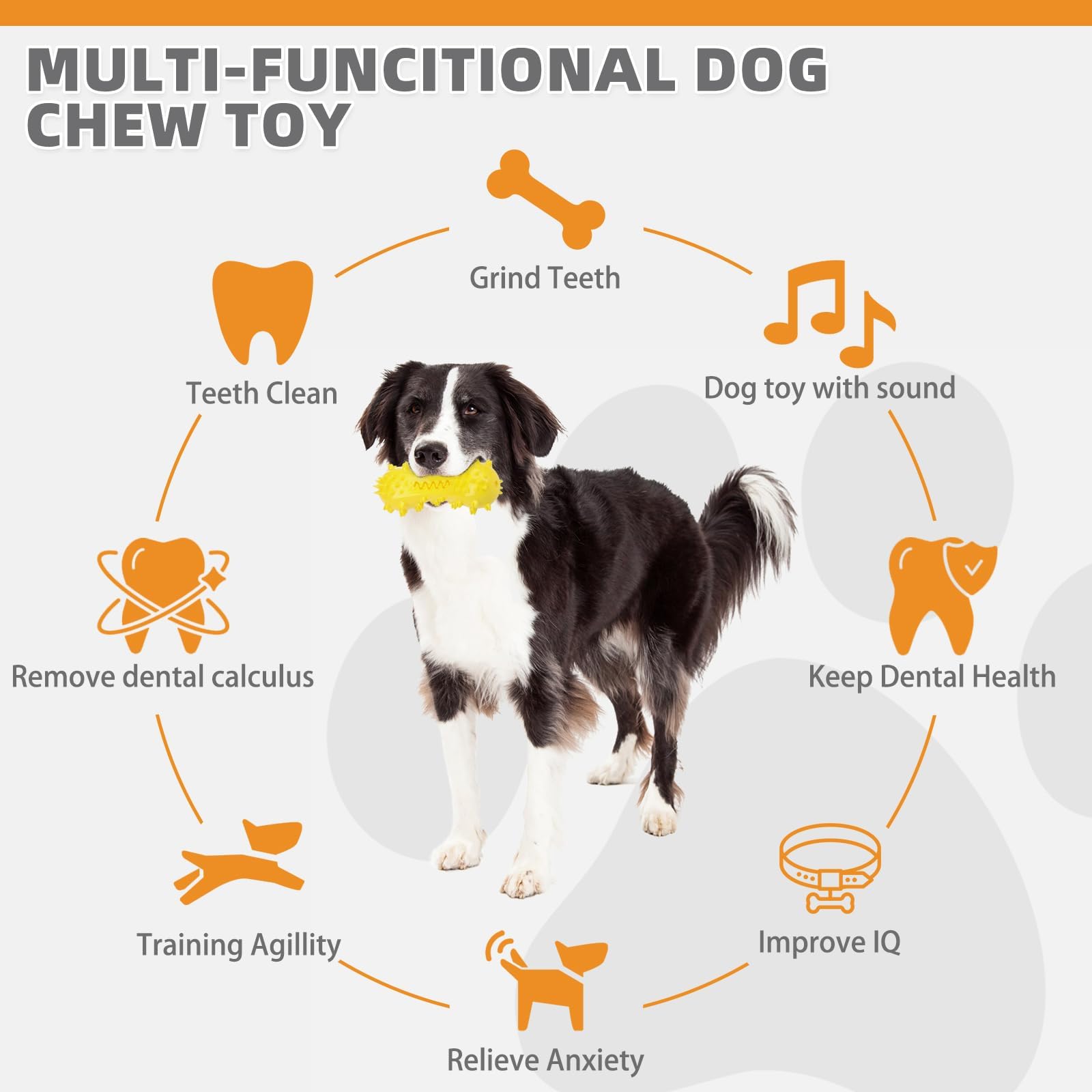 Kooltail Floating Dog Toys For Swimming Pool,Summer Bumper Toy For Water,Indestructible Dog Toothbrush Chew Toy,Interactive Trai