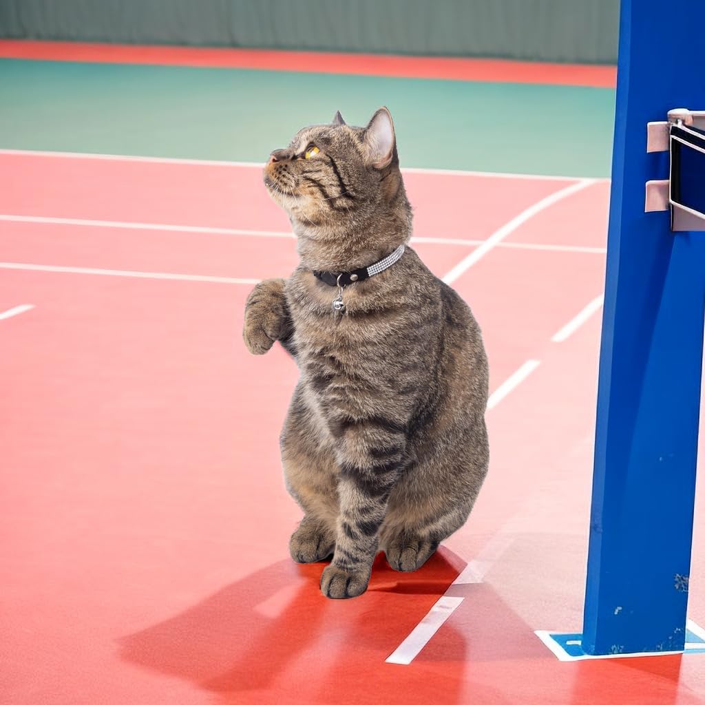 Rhinestone Cat Collar Breakaway Safety Buckle With Bell, Adjustable Diamond Girl Boy Kitty Cute Comfy Collar For Kitten Small Pe