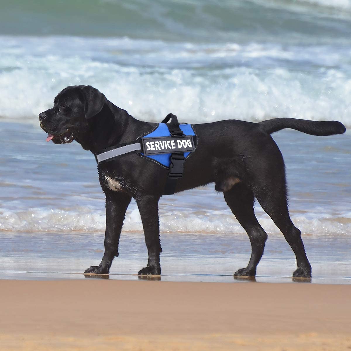 Mumupet Service Dog Harness, No Pull Easy On And Off Pet Vest Harness, 3M Reflective Breathable & Easy Adjust Pet Halters With Nylon Handle - No More Tugging Or Choking For Small Medium Large Dogs