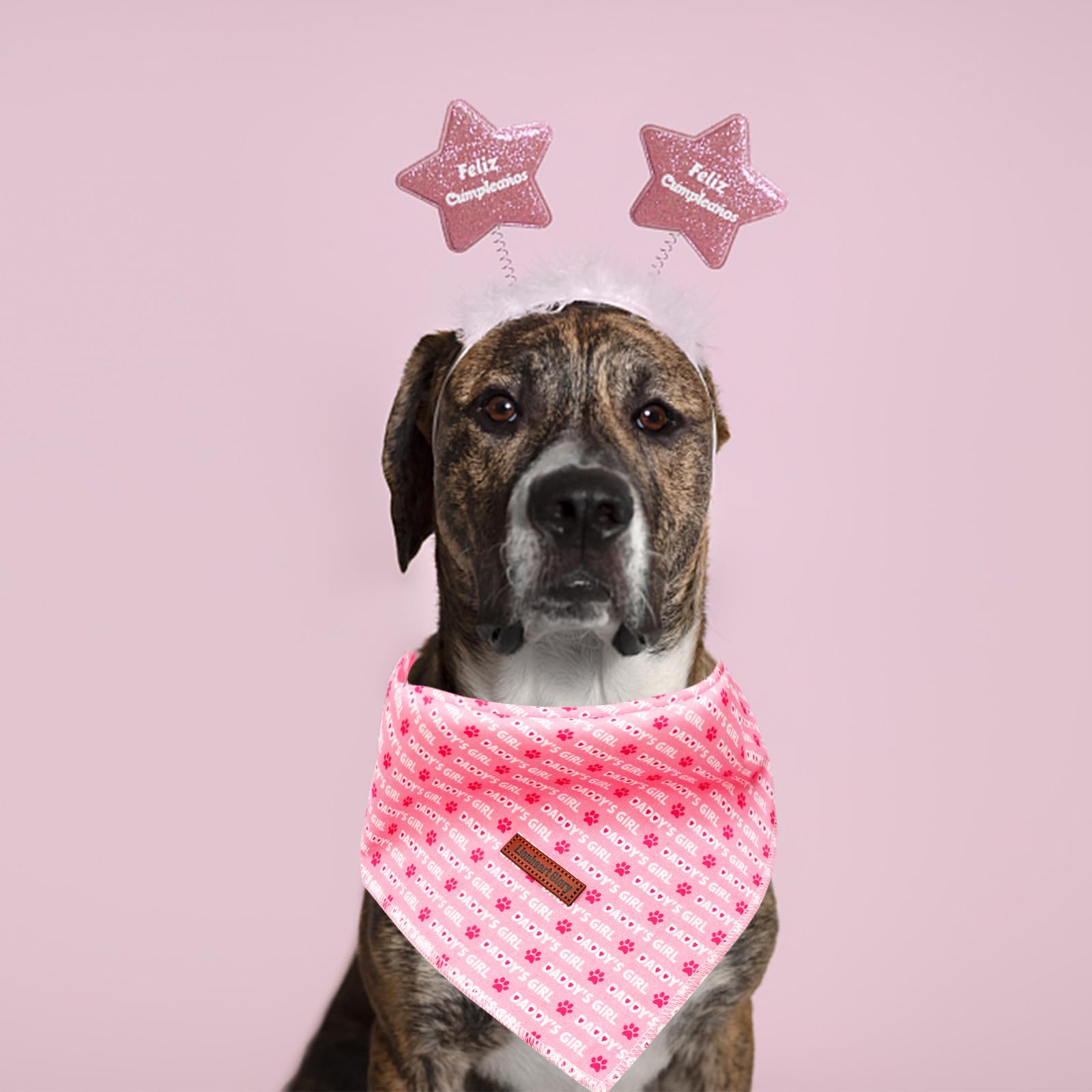 Lionheart Glory Valentine Dog & Cat Scarf, Square Adjustable Bandanas, Soft Washable, 1 Pack