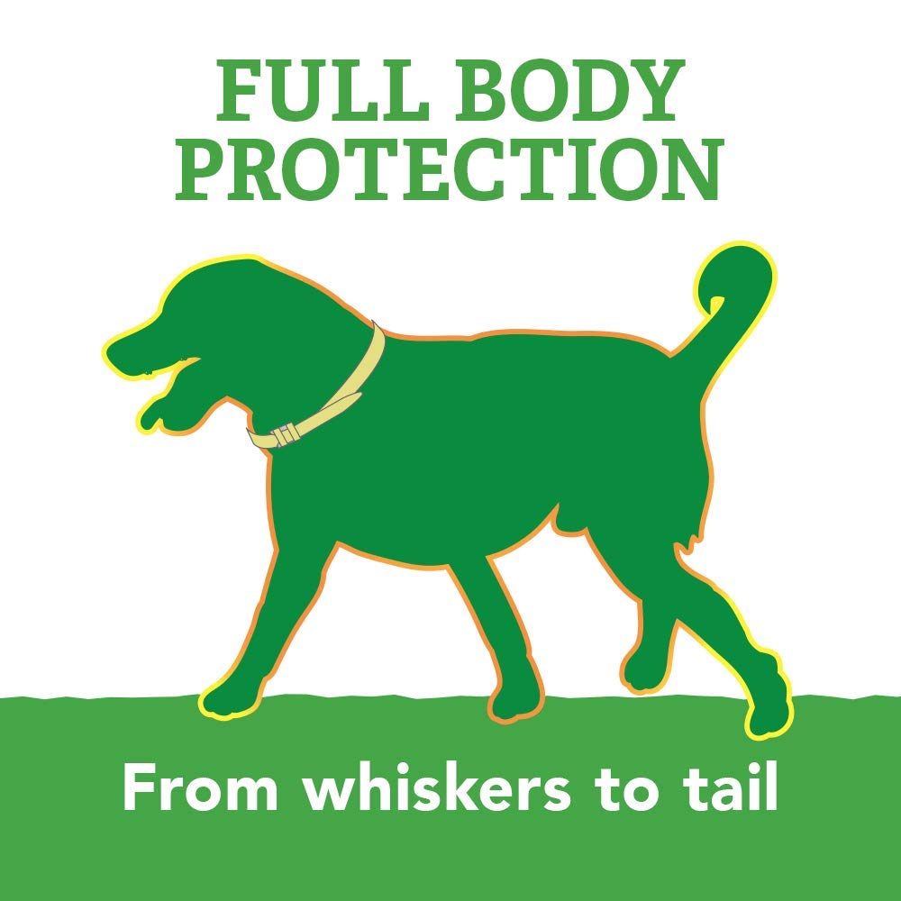 Natural Care Repellent Flea And Tick Collar For Dogs And Puppies - 4 Month Flea & Tick Treatment For Dogs - Repels Fleas & Ticks