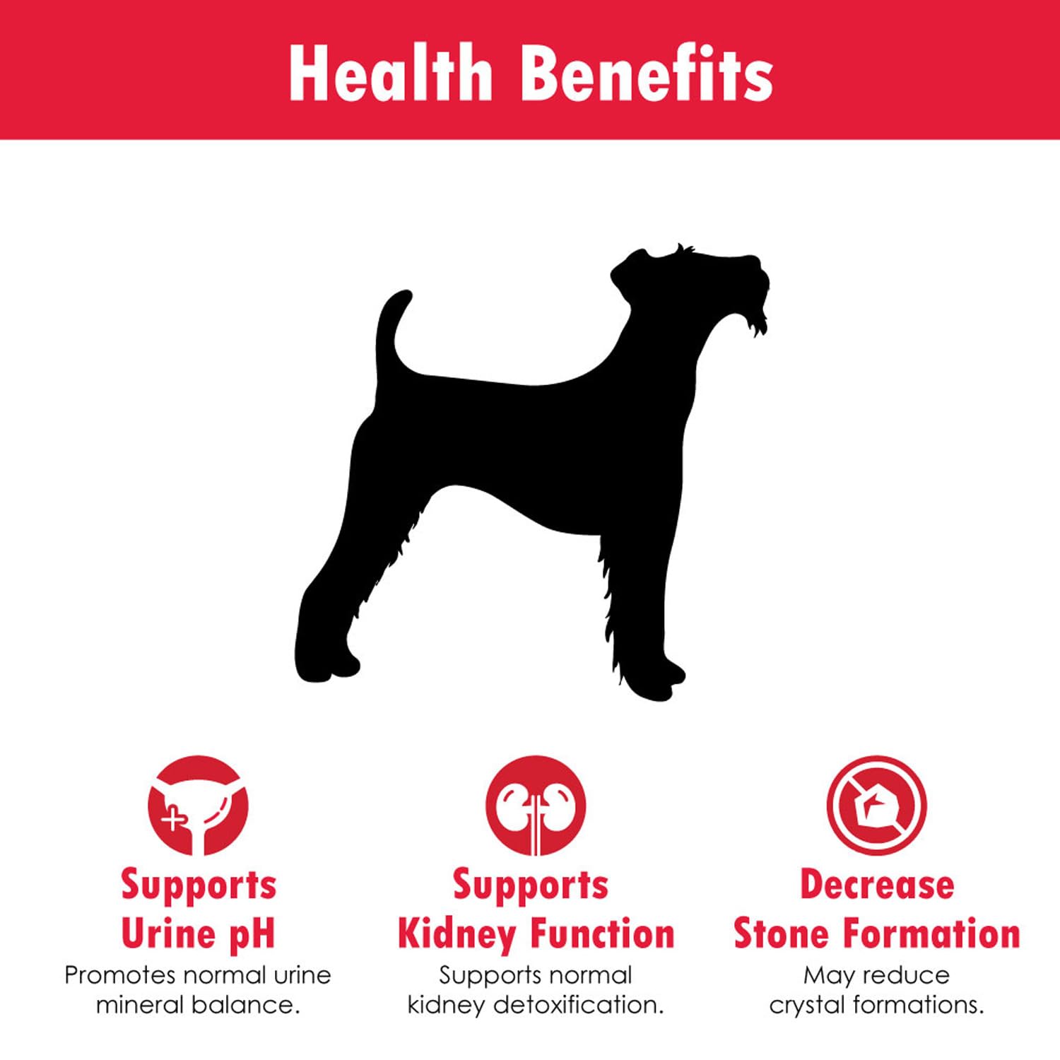 K-Plus Potassium Gluconate Renal Gel Plus Cranberry and EPA for Dogs and Cats - Veterinarian Approved Renal Supplement - Support