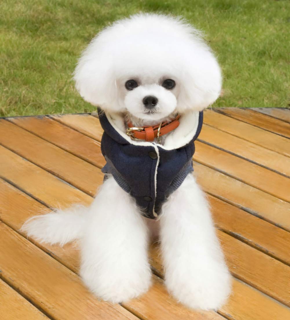 Dog Coat Rdc Pet Hoodie Cold Weather Coats Warm Dog Apparel Winter Thick Clothes Dog Cozy Jacket For Small Dog Medium Cat (M, B-Blue)