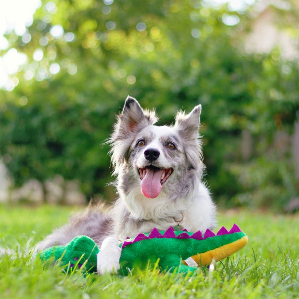 Zippypaws - Grunterz Grunting Plush Large Dog Toy - Alvin The Alligator