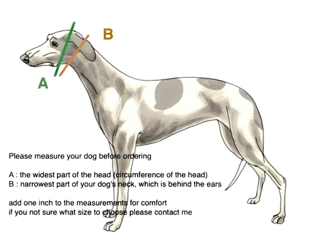Martingale Dog Collar For Greyhound Saluki Whippet And Other Breeds With Similar Neck 2 Wide (14-18) Matching Leash Availa