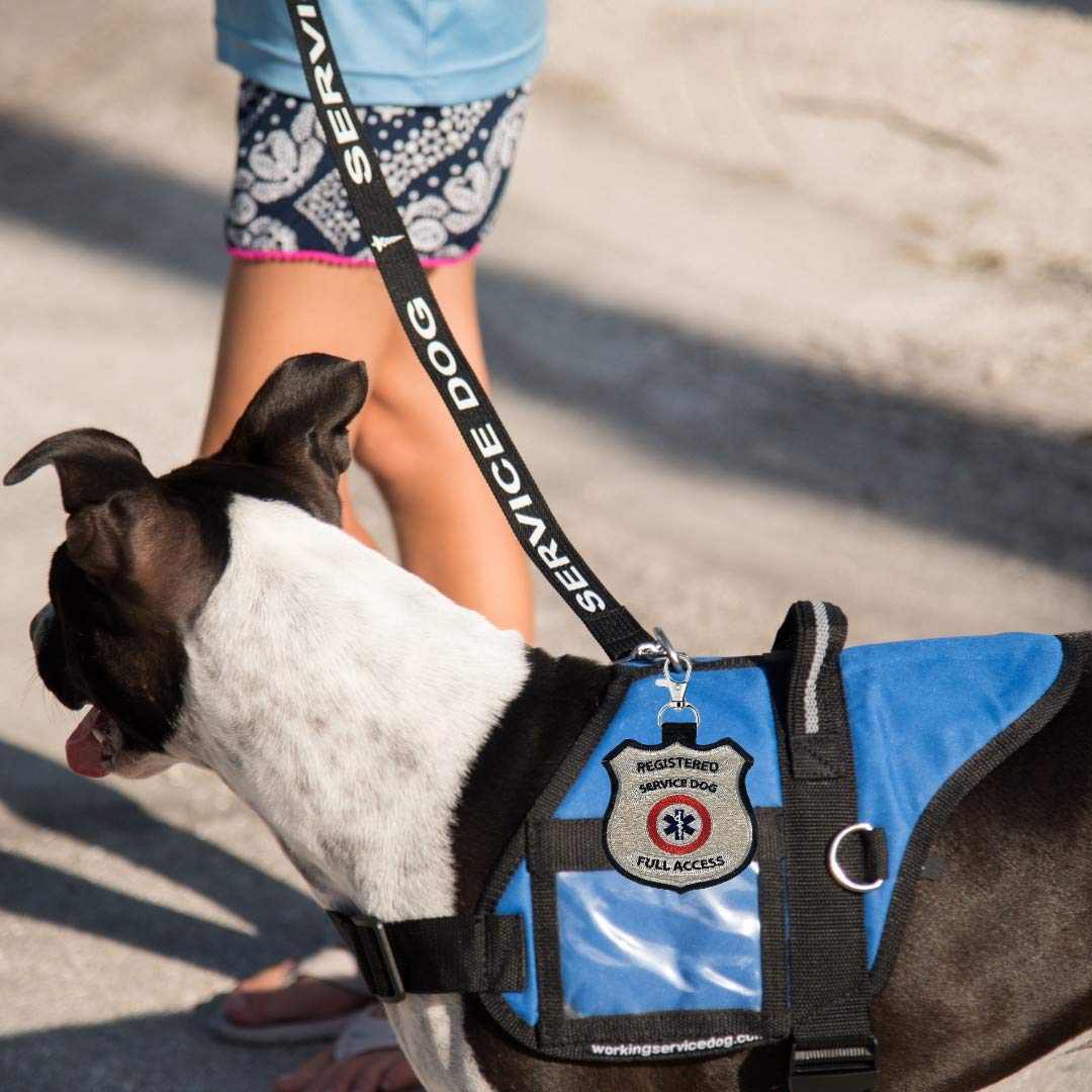 “Registered Service Dog” Identification Patch Tag | Clips On Service Dog Vest, Harness, Collar, Leash Or Carrier | Includes Five Service Dog Handout Cards
