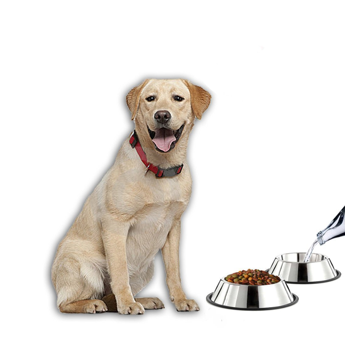 Mlife Stainless Steel Dog Bowl with Rubber Base for Small/Medium/Large Dogs, Pets Feeder Bowl and Water Bowl Perfect Choice (Set
