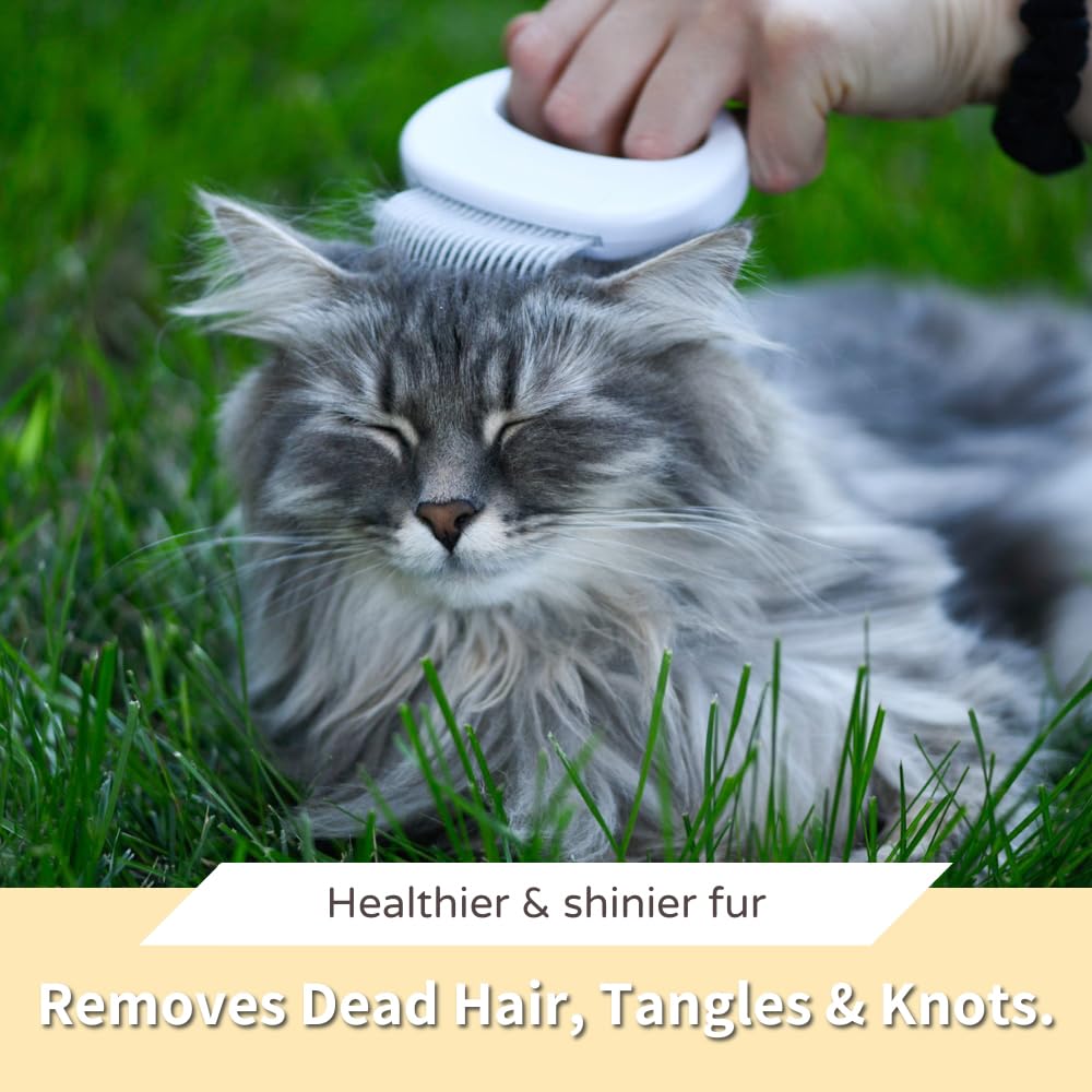 Leo'S Paw The Original Pet Hair Removal Massaging Shell Comb Soft Deshedding Brush Grooming And Shedding Matted Fur Remover Dema