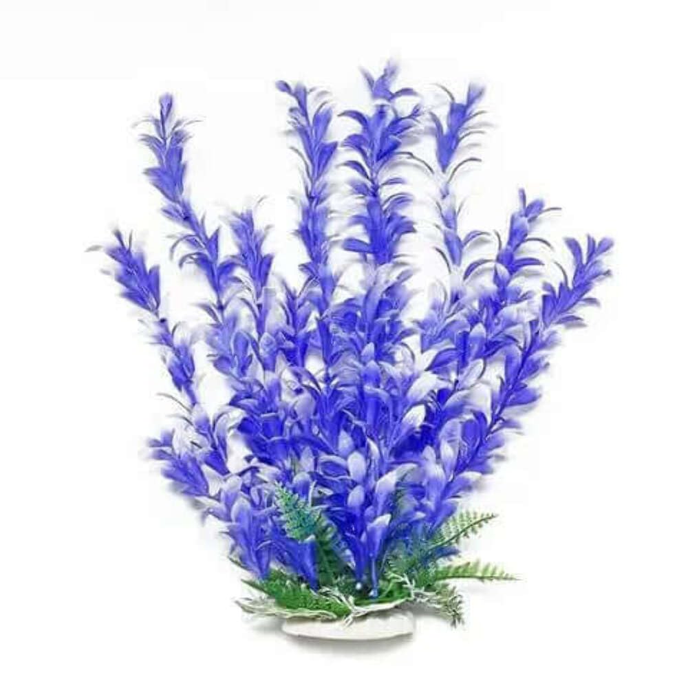Aquatop 38201448: Plant, Bacopa Blue/White 6In