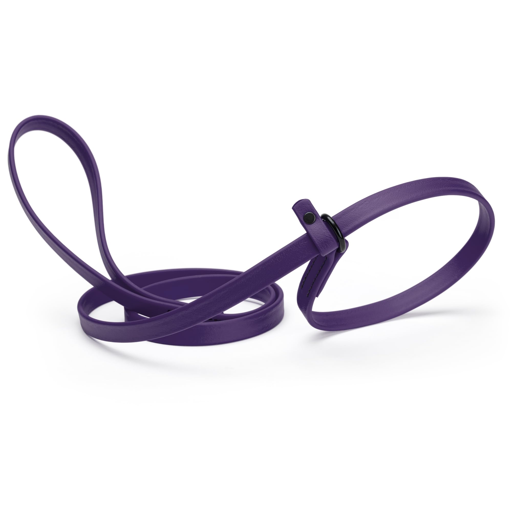 Dogline Biothane Slip Dog Leash - For Small, Medium And Large Dogs - Odor Free Slip Lead, Heavy Duty And Durable Material Kennel Lead - Violet Purple - 5Ft L X 3/8In W
