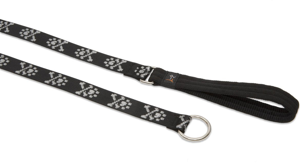 LupinePet Originals 1'' Bling Bonz 6-foot Slip Lead/Leash for Medium and Larger Dogs