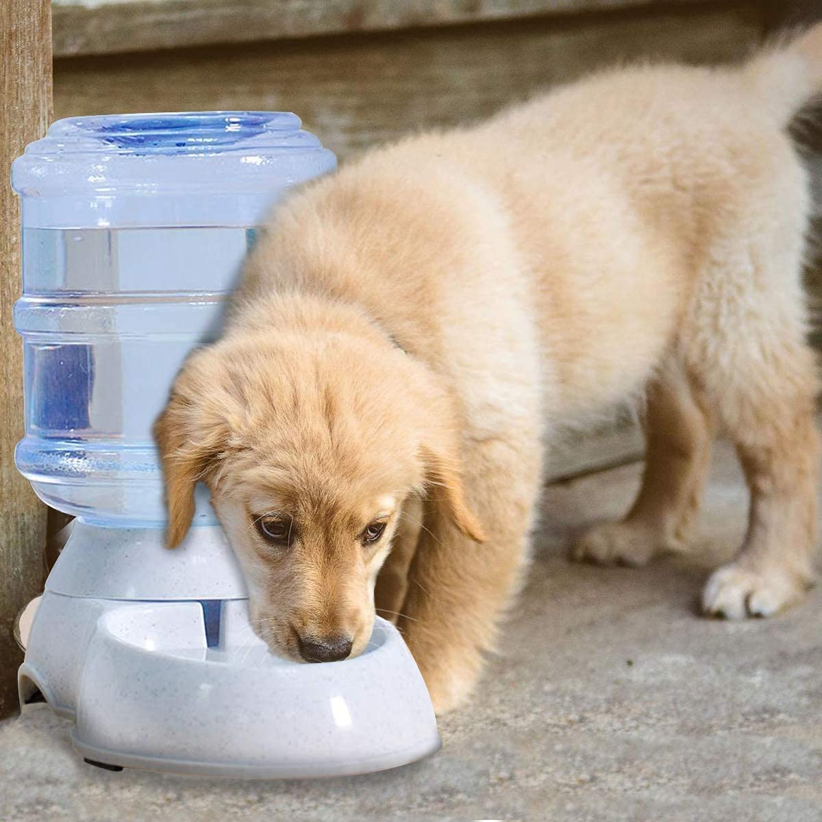 Swadhin SelfDispensing Dog And Cat Water Dispenser Food Bowl Animals Automatic Gravity Pet Water Drinking Fountain Bottle Bowl