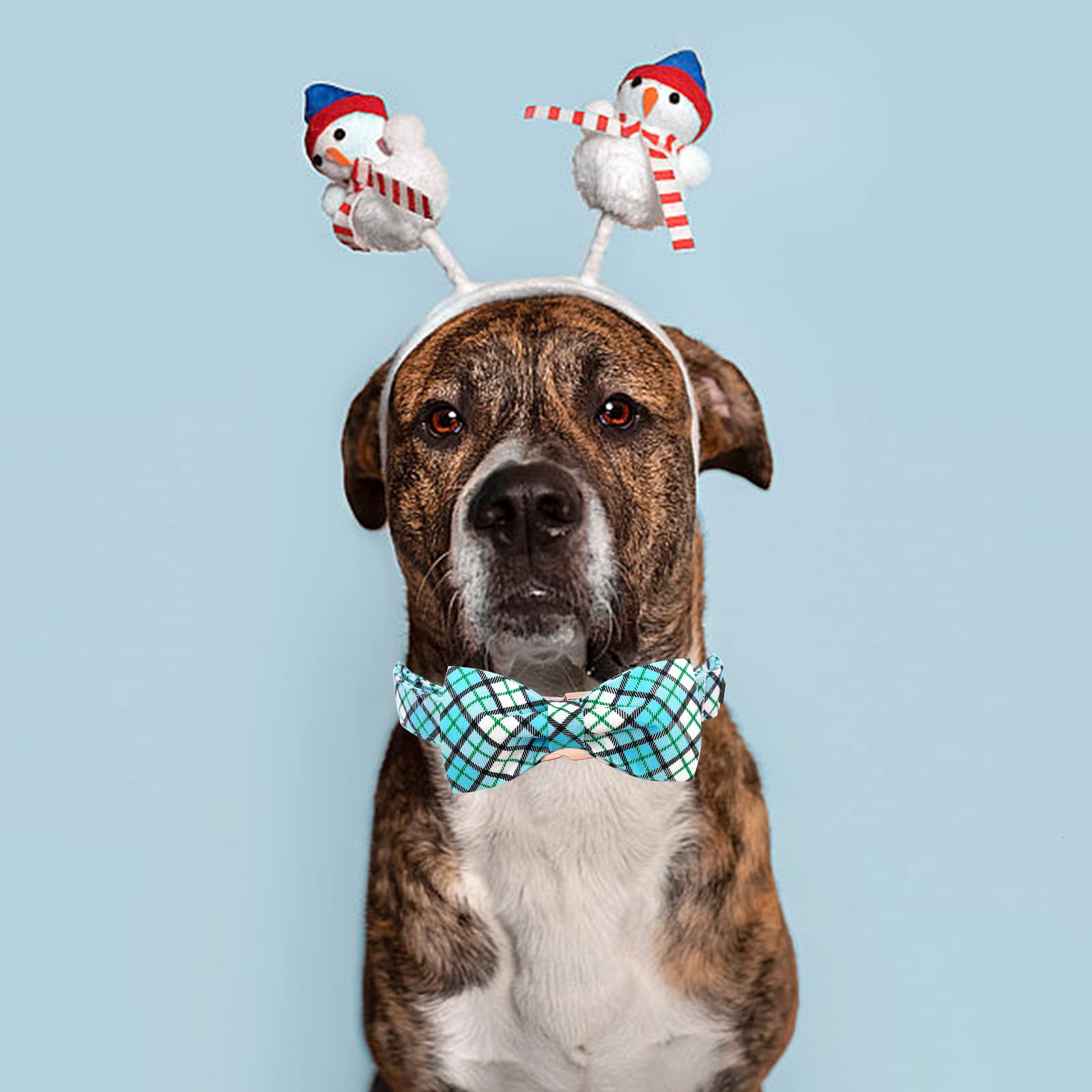 Elegant Little Tail Blue Plaid Dog Collar With Bow - Soft, Adjustable For Small To Large Dogs