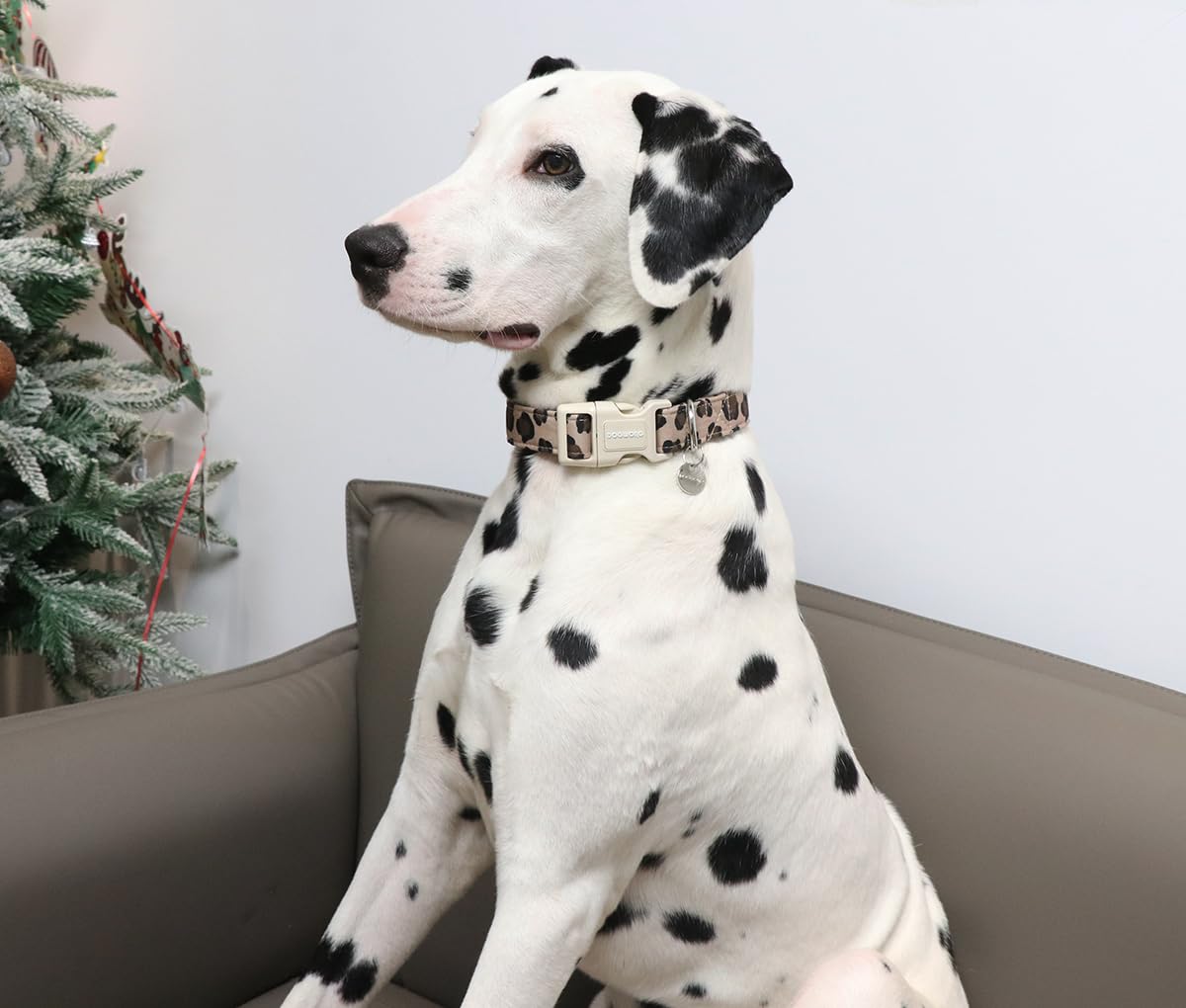 Dogwong Cotton Dog Collar, Leopard Print, Soft & Comfortable, Durable Plastic Buckle, X-Small, Perfect For Small, Medium, Large
