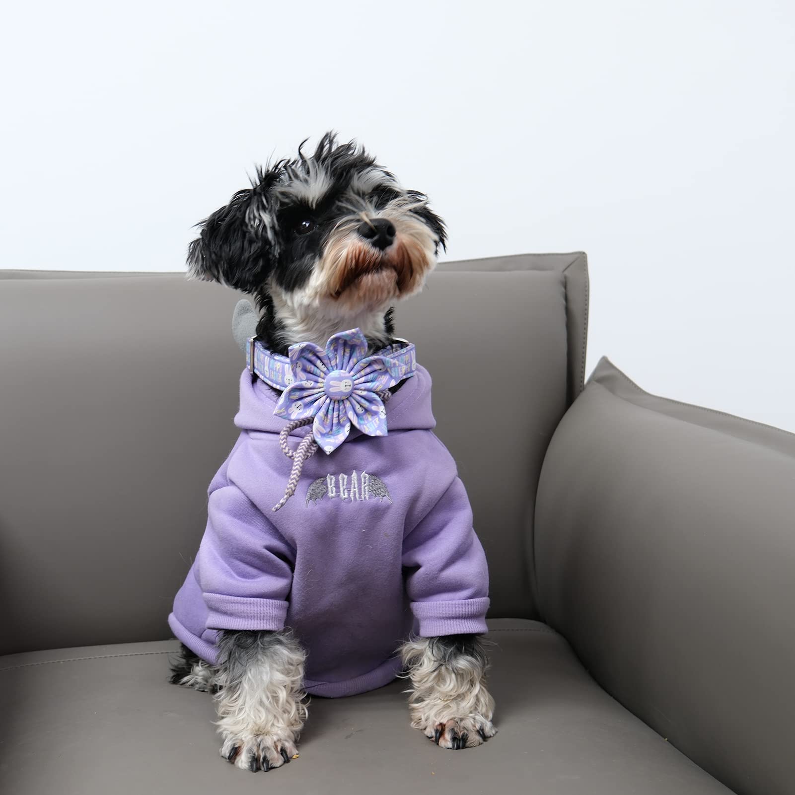 Mr. Chubbyface Easter Dog Collar Purple Rabbit With Flower Adjustable Bowtie For Small Medium Large Dogs