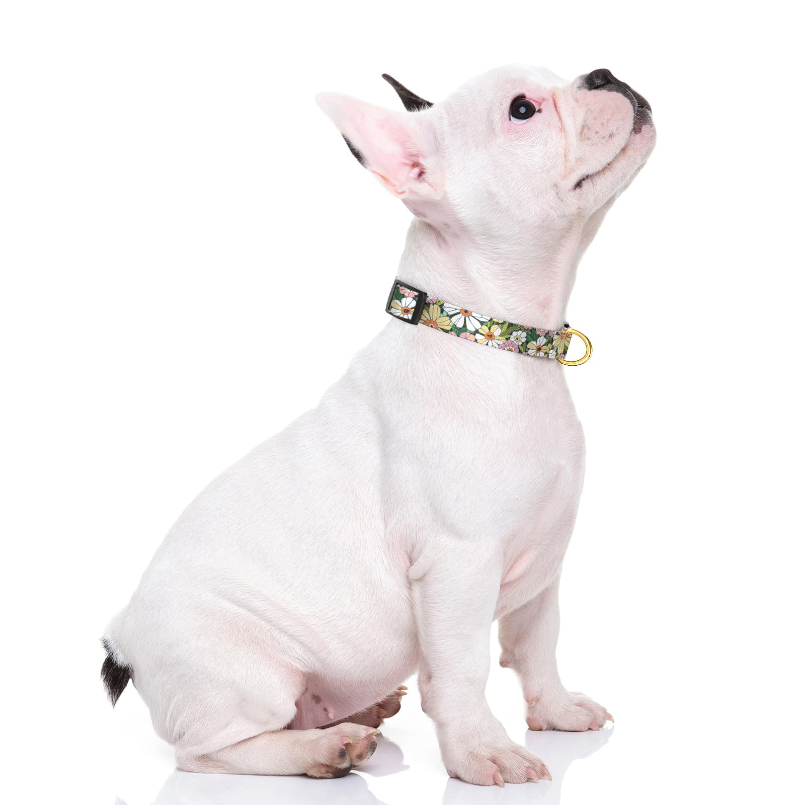 Rnivvi Dog Collar For Small Dogs, Floral Heavy Duty Adjustable Puppy Collar With Quick Release Buckle For Girl & Female, Pet Acc