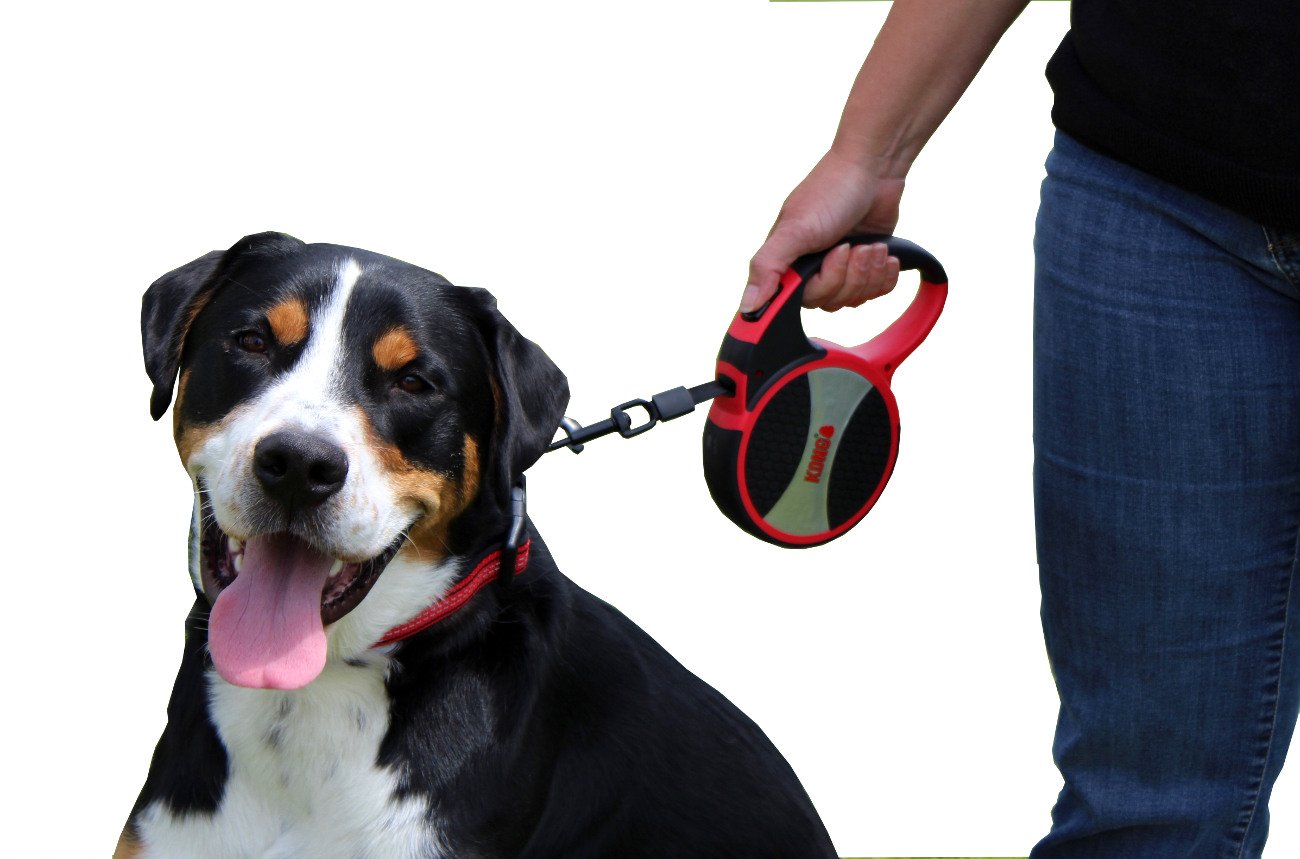 Alcott Kong Terrain Retractable Dog Leash, Large, Blue, 16 Long