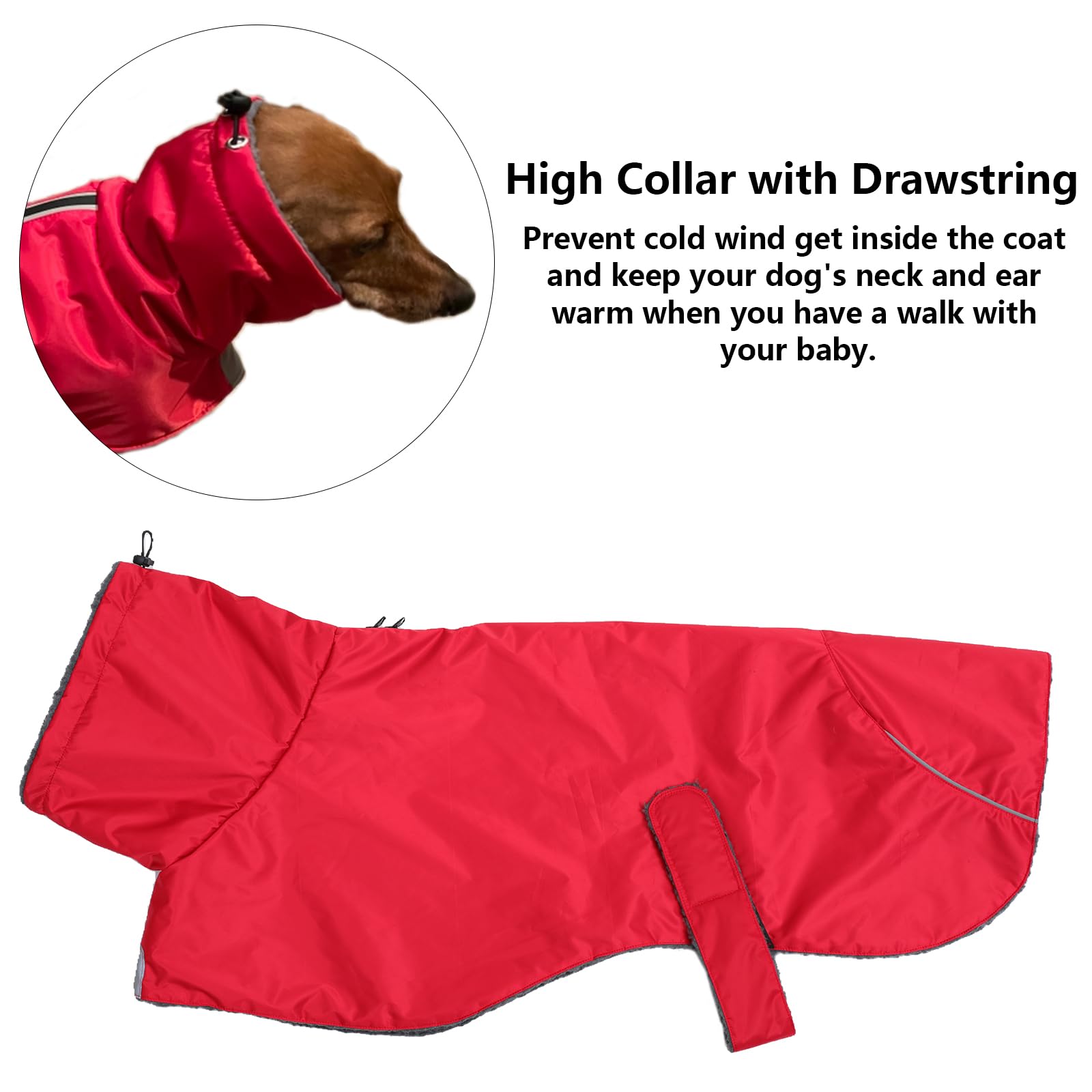 Dachshund Coats Waterproof, Perfect For Dachshunds, Sausage, Weiner Dog Winter Coat With Padded Fleece, Puppy Snowsuit With Adjustable Bands And High Vis Reflective Trim - Red - M