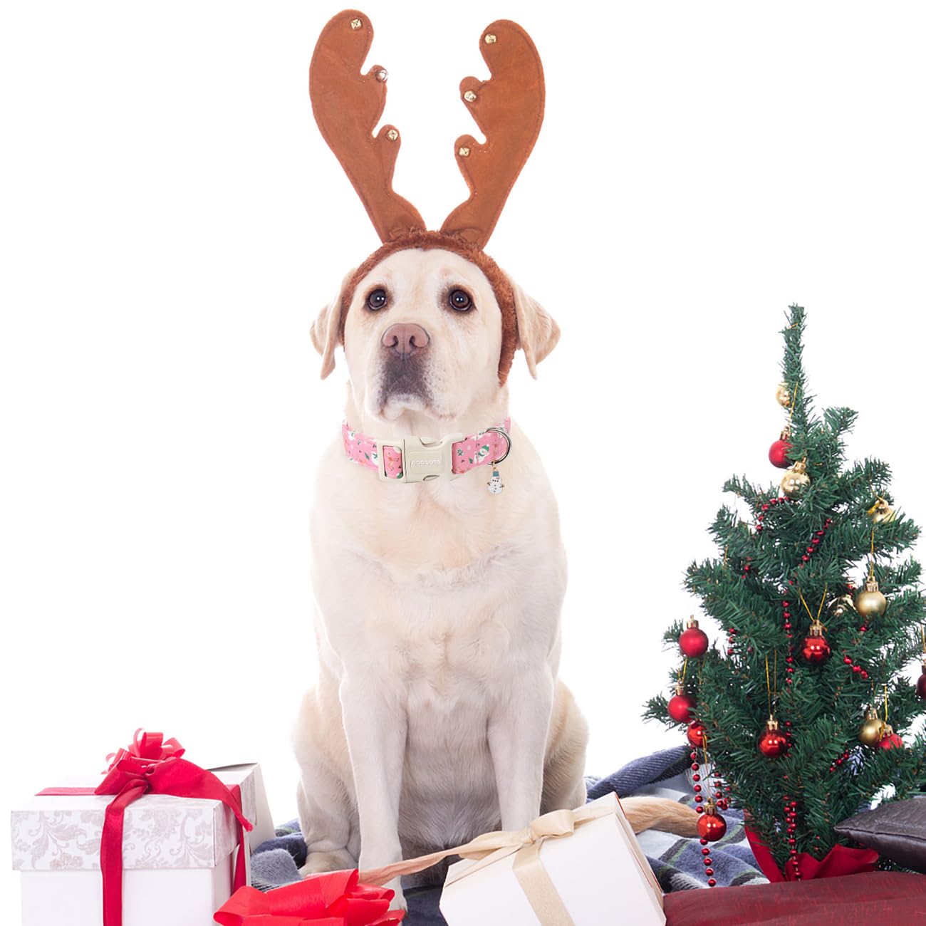 Dogwong Snowman Dog Collar- Cute Designer Christmas Blue Dog Collars Adjustable Deer Dog Collar For Small Medium Large Dogs L