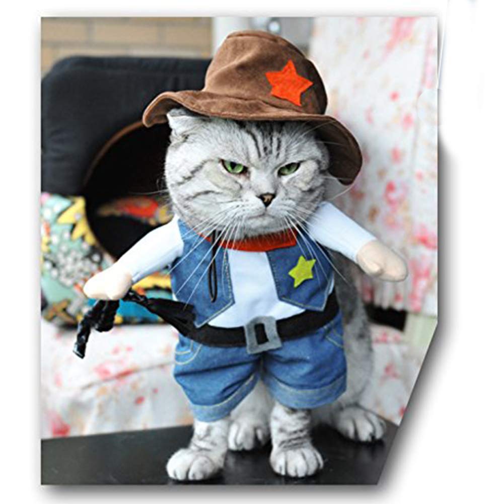 Nacoco Cowboy Dog Costume With Hat - Blue Cat & Small Dog Halloween Costume (Small)