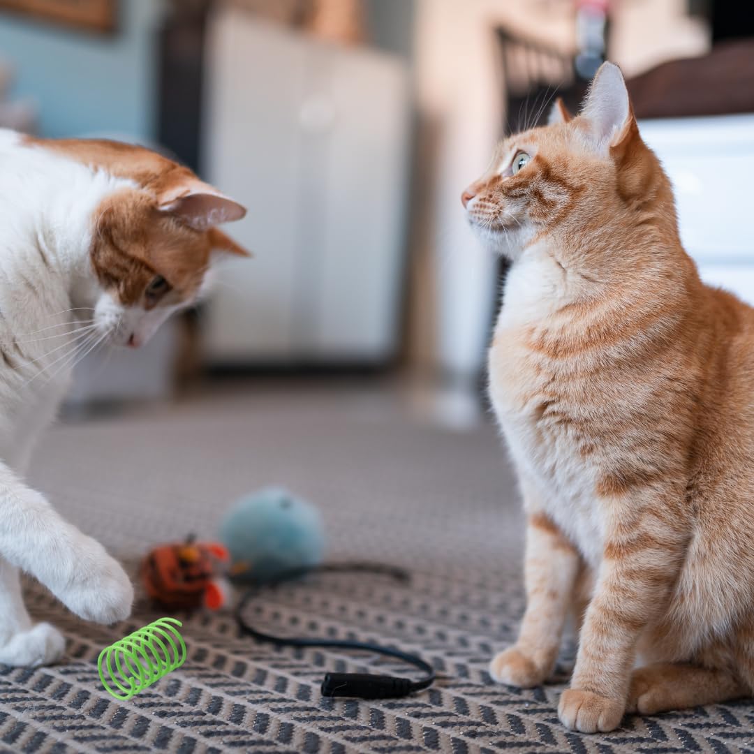 Shizhoo Cat Spring Toy, 60 Pcs Kittens Toys Plastic Colorful Coil Spiral Springs For Swatting, Biting, Hunting, And Active Healt