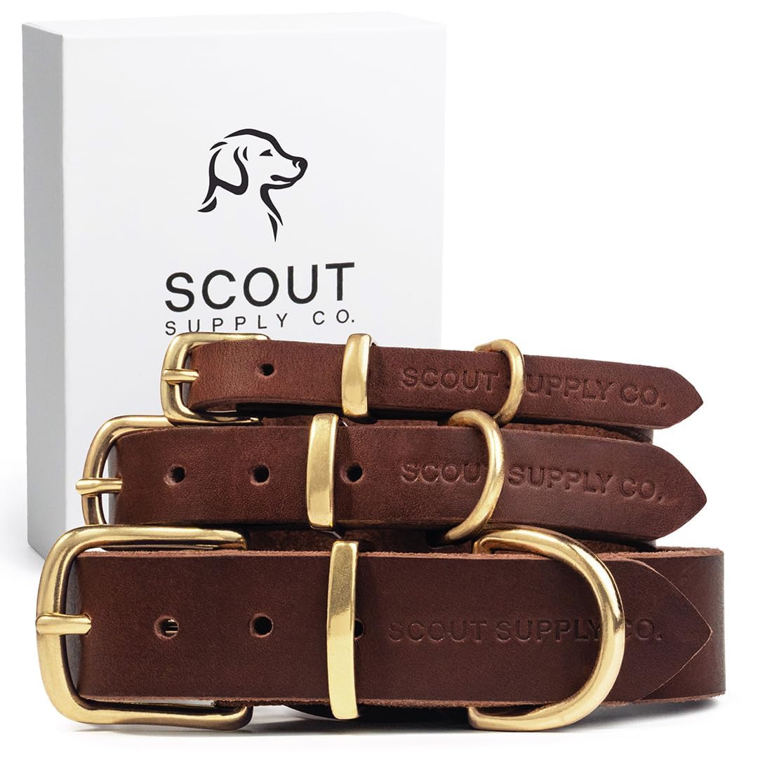 Scout Supply Classic Leather Dog Collar | Heavy Duty Thick Full Grain Leather | Waterproof & Rust-Proof Brass Hardware (Dark Bro