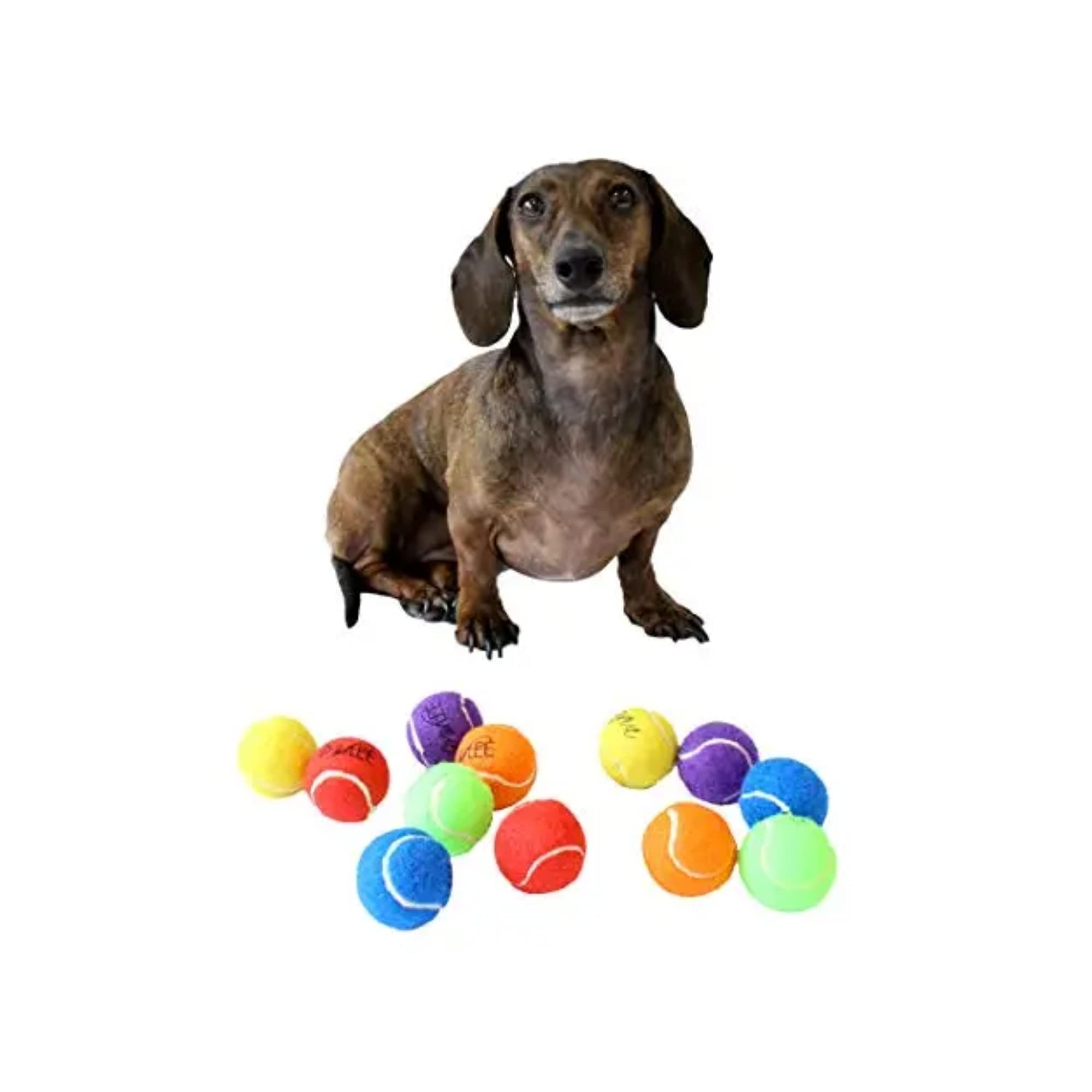 Midlee X-Small Dog Tennis Balls 1.5' Pack Of 12 (Solid, 1.5 Inch)