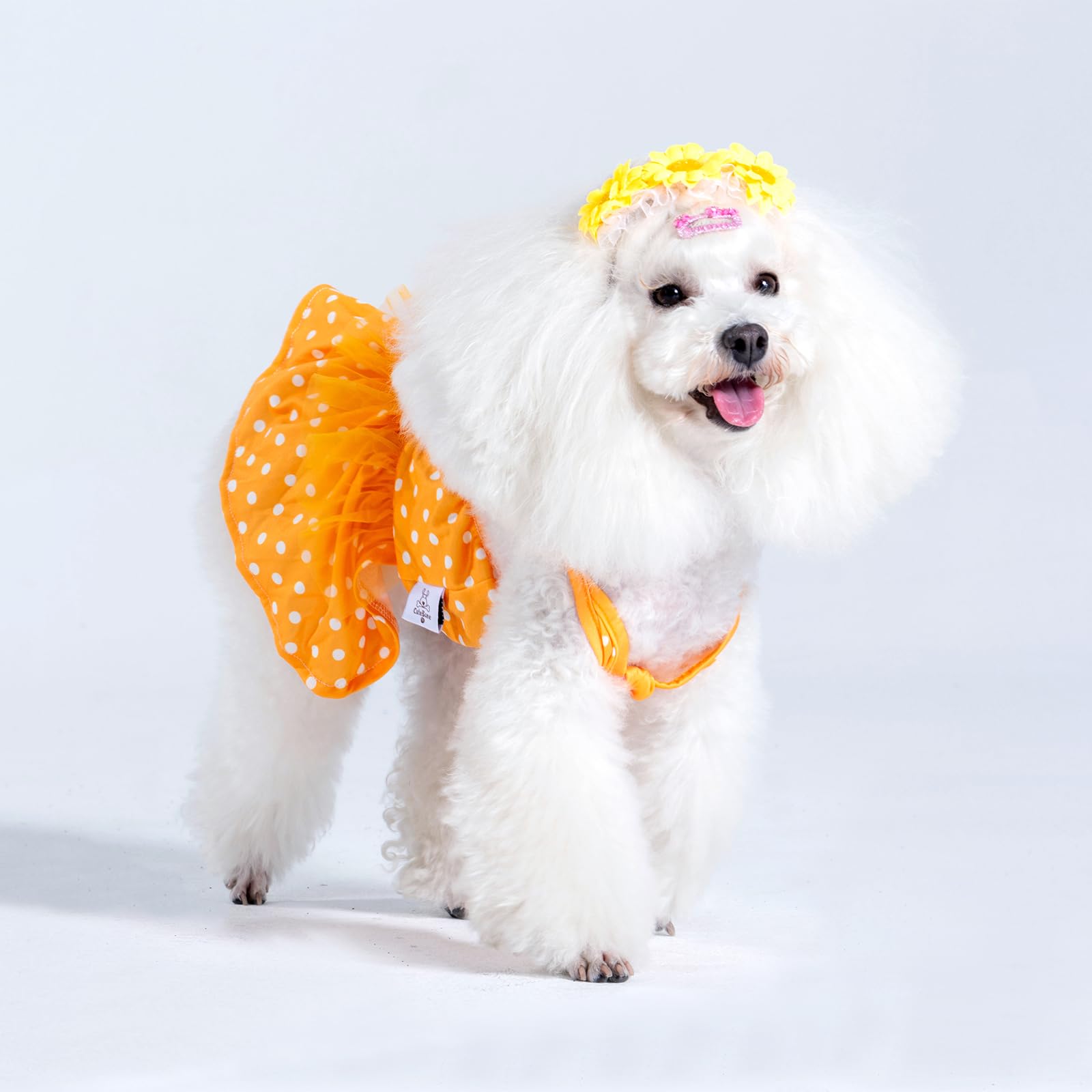 Cutebone One Piece Dog Bikini Swimsuit Dress - Puppy Bathing Suit Costume For Small Dogs - Comfortable & Stylish Pet Clothes For