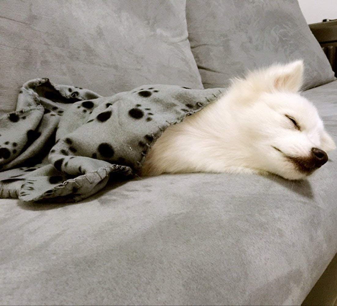 Comsmart Warm Paw Print Blanket/Bed Cover For Dogs And Cats, 6 Pack Of 24X28 Inches