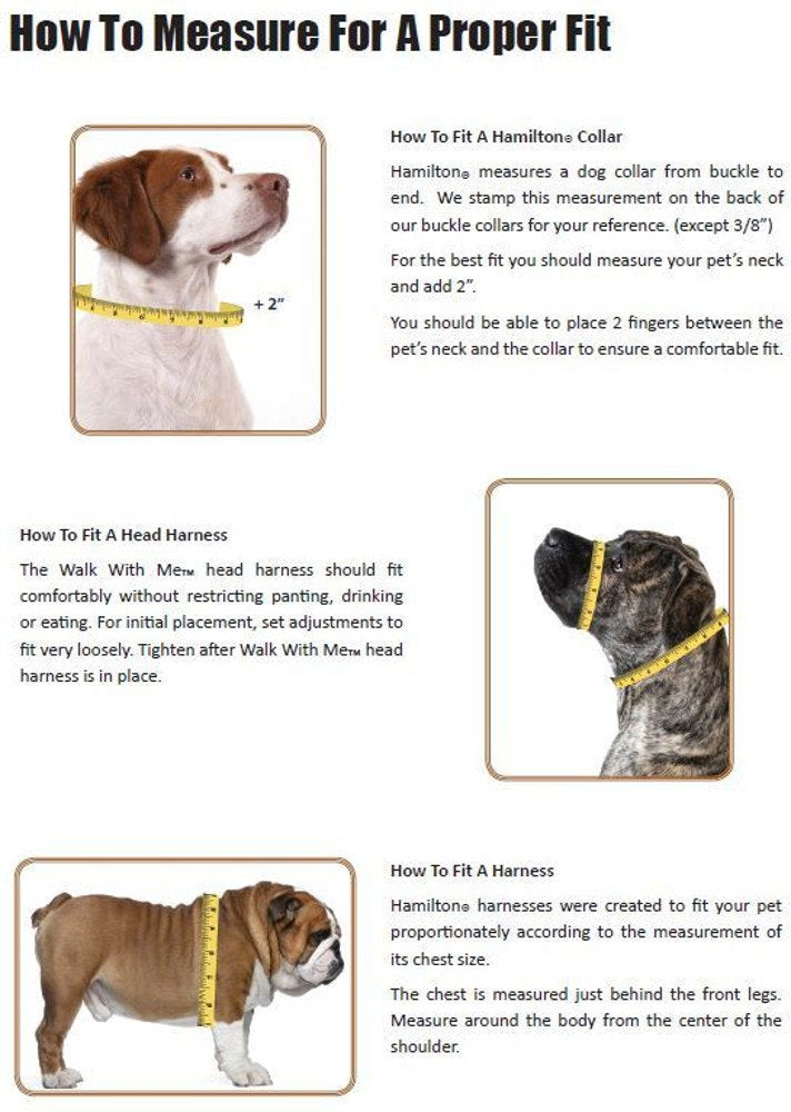 Hamilton Adjustable Nylon Dog Collar, Raspberry, 3/8" x 7-12", Model FAE 7/12 RS