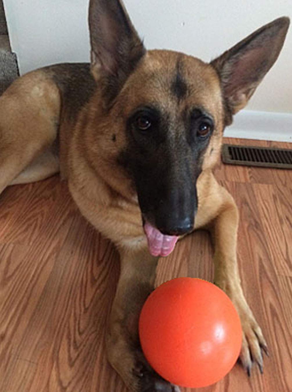 Doggie Dooley Virtually Indestructible Dog Ball, 6-Inch, Assorted Colors, Medium, Polyethylene Material, Model 1006