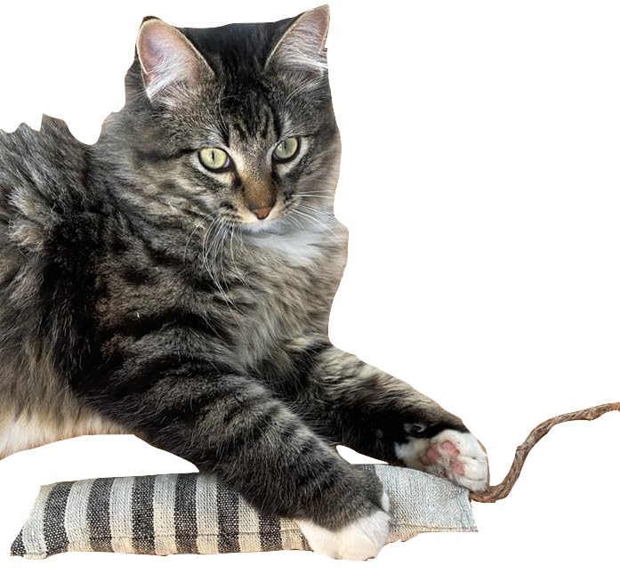 All Natural Kitty Catnip Kicker Handmade Cat Toy (9 Inch, Black Narrow Stripe)