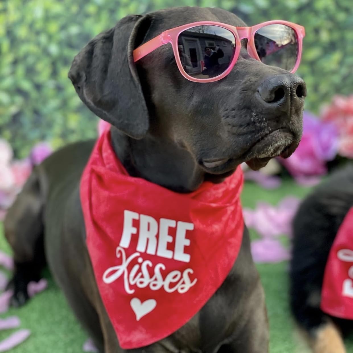 Free Kisses With Heart Valentine'S Day Dog Bandana (Hot Pink, Os 196)
