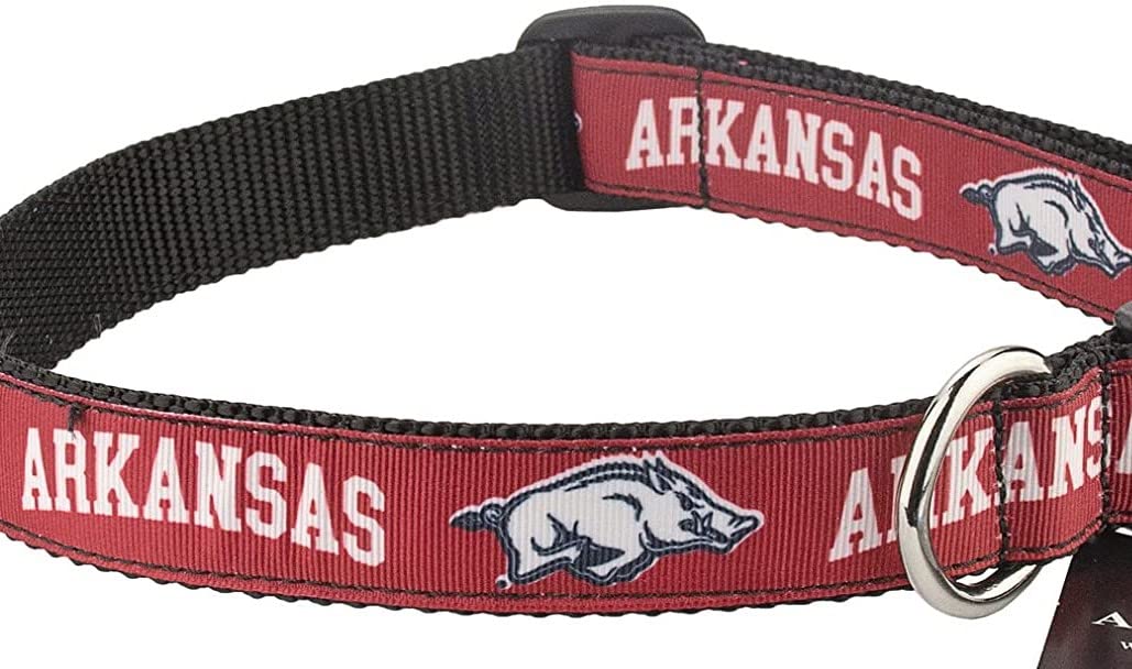 College Dog Collar (Large, Arkansas)
