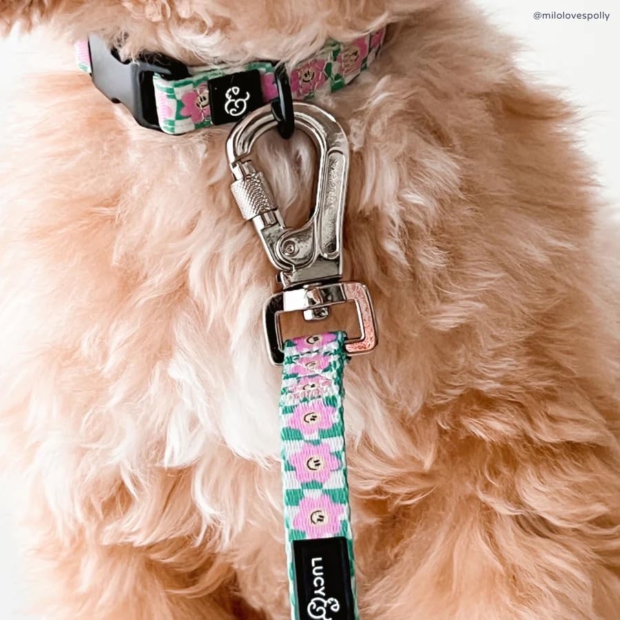 Lucy & Co. Dog Collar - Durable Lightweight Designer Collar For Pets - Adjustable Metal Safety Buckel. (Just Chill Collar).