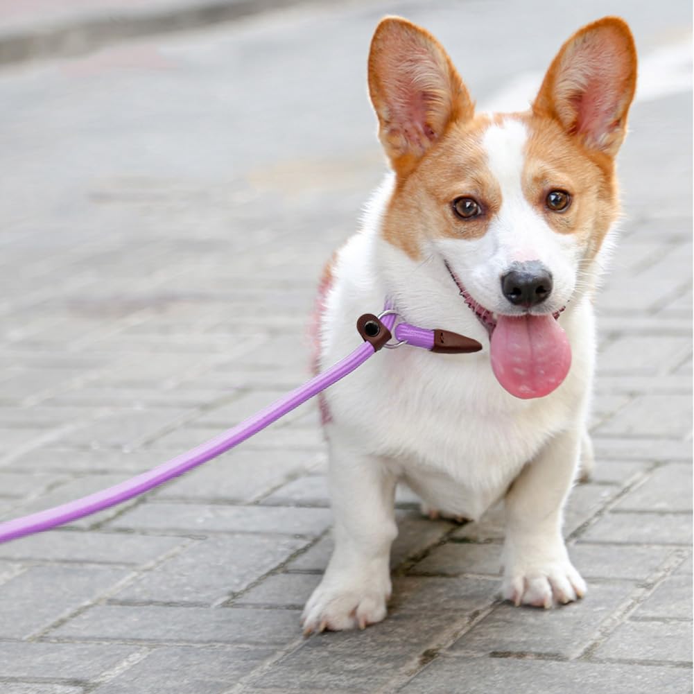 Btinesful 7Ft Slip Lead Dog Leash, Strong Nylon Rope Leash, 1/4 Inch Diam Dog Training Lead For Small Medium Pets Puppies, Purpl