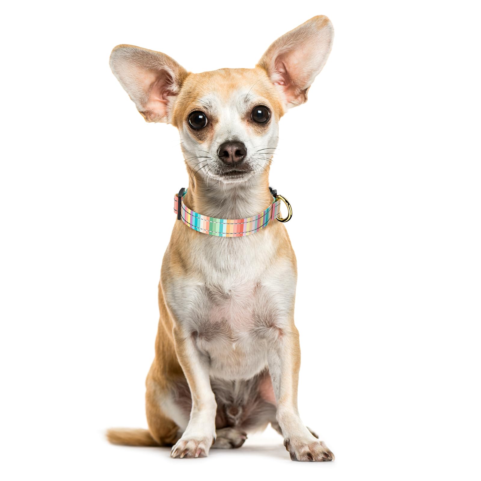 Tmoodel Reflective Dog Collar, Cute Dog Collar For Extra Small Dogs, Soft Nylon Puppy Collar For Boy And Girl Female Dogs, Adjus