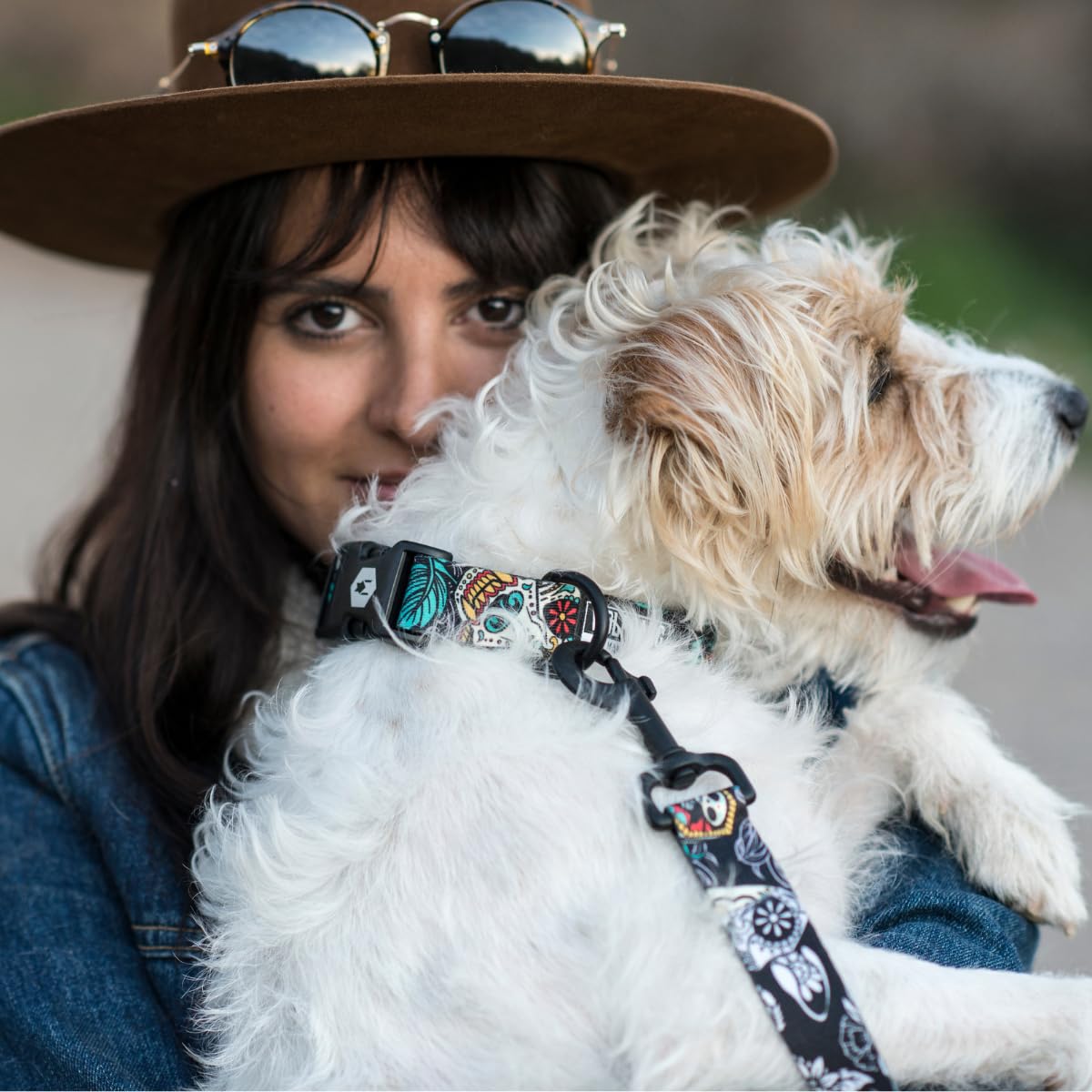 Wolfgang Heavy Duty Martingale Dog Collar With Quick Release Nylon Buckle For Walking & Training, Losmuertos Print, Small