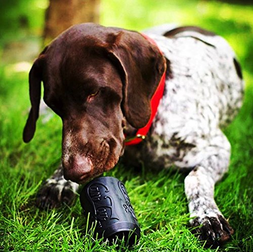 SP Magnum Can Toy Ultra Durable Rubber Chew Toy & Treat Dispenser